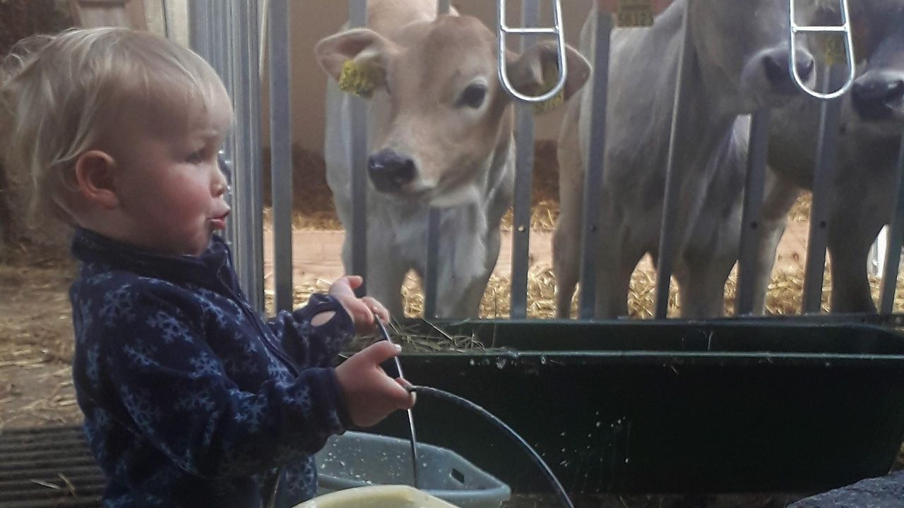 Helfen im Stall Helfen im Stall